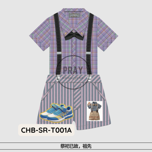 T-001华美男童套装