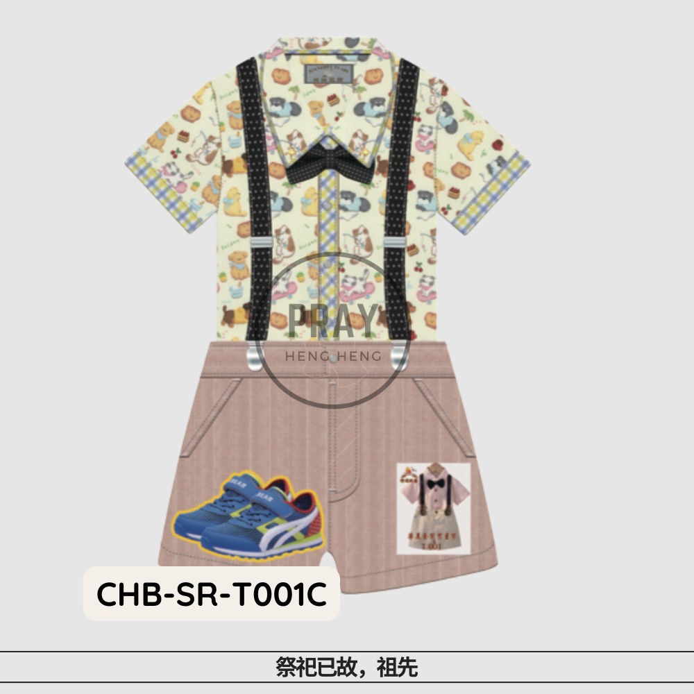 T-001华美男童套装