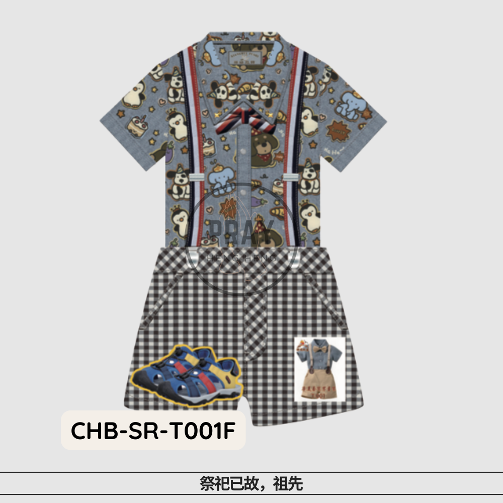 T-001华美男童套装