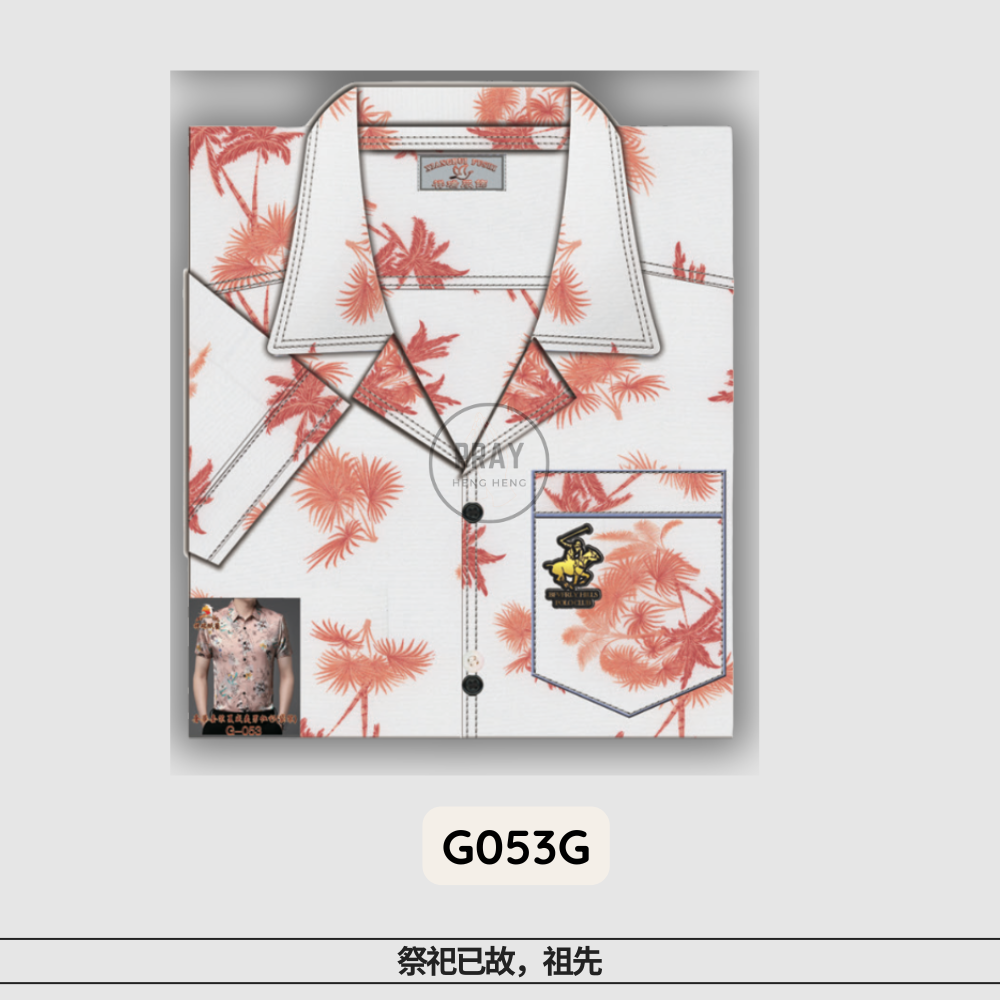 G-053奢华套装夏威夷男工恤（袋装)